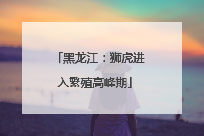 黑龙江：狮虎进入繁殖高峰期