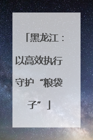 黑龙江：以高效执行守护“粮袋子”