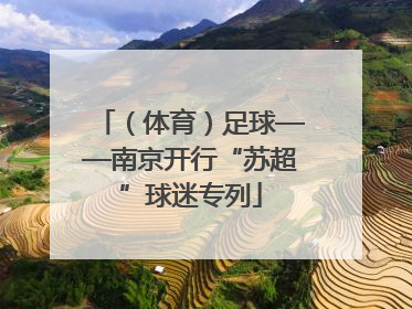 （体育）足球——南京开行“苏超”球迷专列