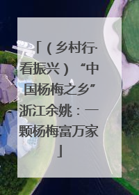 （乡村行·看振兴）“中国杨梅之乡”浙江余姚：一颗杨梅富万家