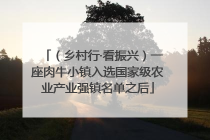 （乡村行·看振兴）一座肉牛小镇入选国家级农业产业强镇名单之后