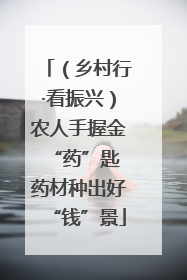 （乡村行·看振兴）农人手握金“药”匙 药材种出好“钱”景