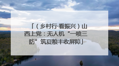（乡村行·看振兴）山西上党：无人机“一喷三防”筑夏粮丰收屏障