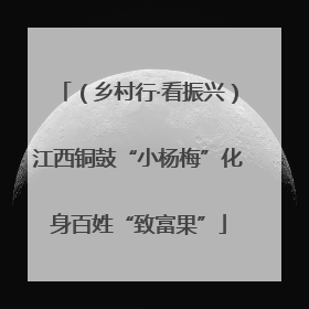 （乡村行·看振兴）江西铜鼓“小杨梅”化身百姓“致富果”