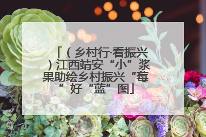 （乡村行·看振兴）江西靖安“小”浆果助绘乡村振兴“莓”好“蓝”图