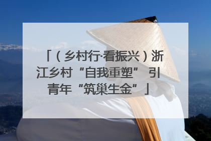 （乡村行·看振兴）浙江乡村“自我重塑” 引青年“筑巢生金”