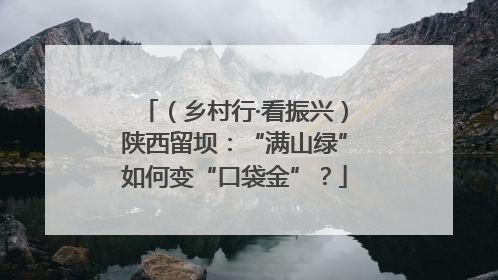 （乡村行·看振兴）陕西留坝：“满山绿”如何变“口袋金”？