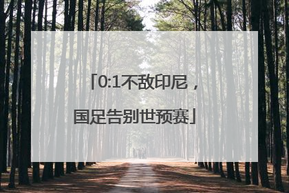 0:1不敌印尼，国足告别世预赛
