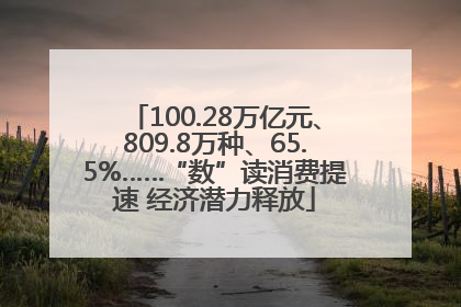 100.28万亿元、809.8万种、65.5%……“数”读消费提速 经济潜力释放