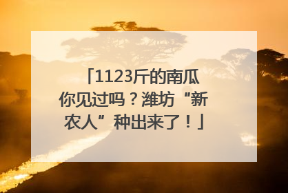 1123斤的南瓜你见过吗？潍坊“新农人”种出来了！