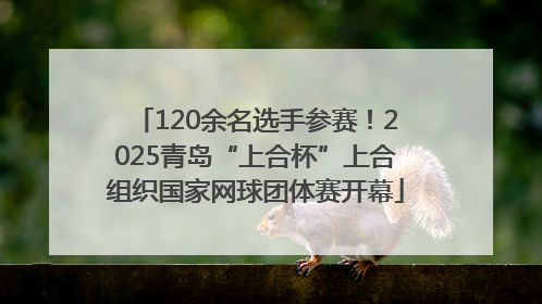 120余名选手参赛！2025青岛“上合杯”上合组织国家网球团体赛开幕