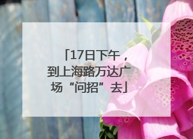17日下午，到上海路万达广场“问招”去