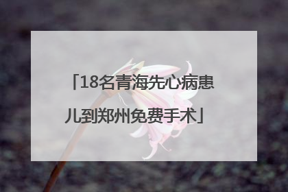 18名青海先心病患儿到郑州免费手术