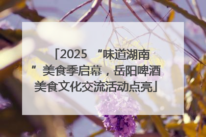 2025 “味道湖南”美食季启幕，岳阳啤酒美食文化交流活动点亮