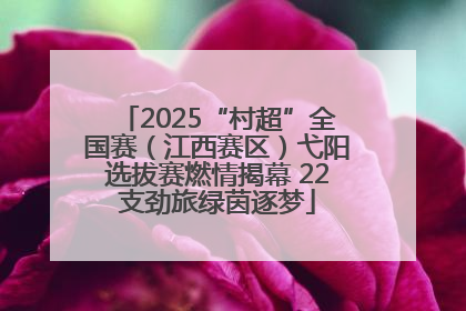 2025“村超”全国赛（江西赛区）弋阳选拔赛燃情揭幕 22支劲旅绿茵逐梦