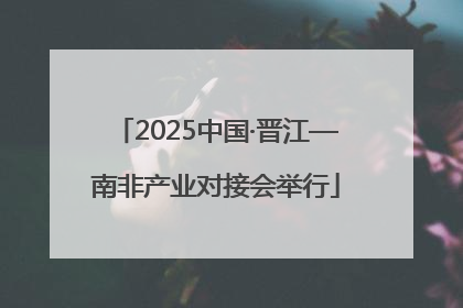 2025中国·晋江—南非产业对接会举行