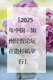 2025年中国－加州经贸论坛在洛杉矶举行