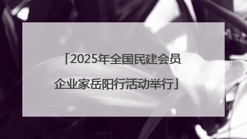 2025年全国民建会员企业家岳阳行活动举行