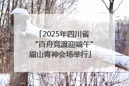 2025年四川省“百舟竞渡迎端午”眉山青神会场举行