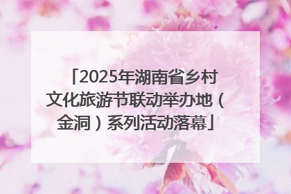 2025年湖南省乡村文化旅游节联动举办地（金洞）系列活动落幕