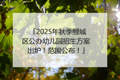 2025年秋季鲤城区公办幼儿园招生方案出炉！范围公布！