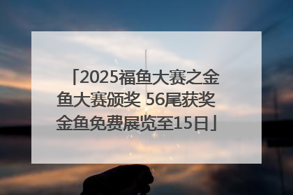 2025福鱼大赛之金鱼大赛颁奖 56尾获奖金鱼免费展览至15日