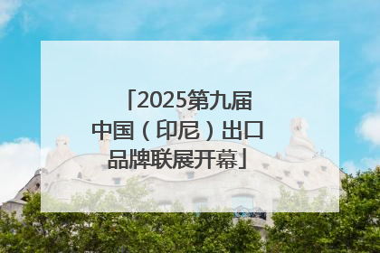 2025第九届中国（印尼）出口品牌联展开幕