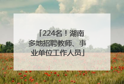 224名！湖南多地招聘教师、事业单位工作人员