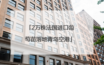 2万株法国进口葡萄苗落地青岛空港