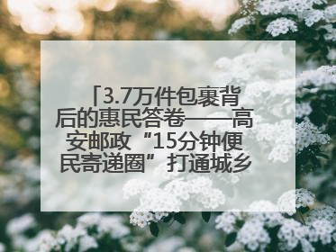 3.7万件包裹背后的惠民答卷——高安邮政“15分钟便民寄递圈”打通城乡服务末梢
