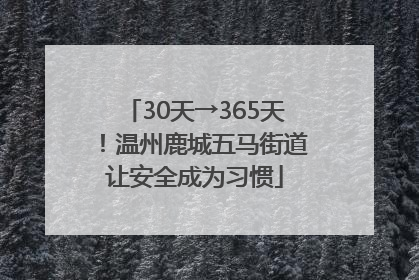 30天→365天！温州鹿城五马街道让安全成为习惯