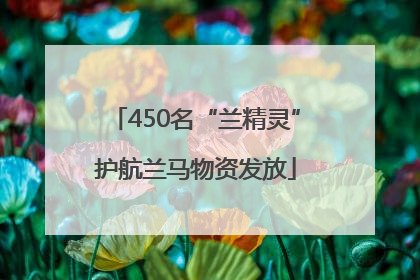 450名“兰精灵”护航兰马物资发放