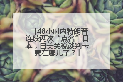 48小时内特朗普连续两次“点名”日本，日美关税谈判卡壳在哪儿了？