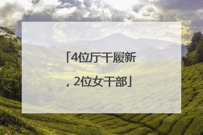 4位厅干履新，2位女干部