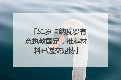 51岁卡纳瓦罗有意执教国足，推荐材料已递交足协