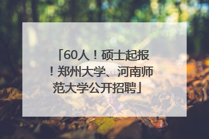 60人！硕士起报！郑州大学、河南师范大学公开招聘