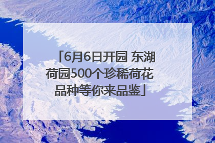 6月6日开园 东湖荷园500个珍稀荷花品种等你来品鉴