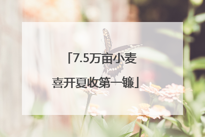 7.5万亩小麦喜开夏收第一镰
